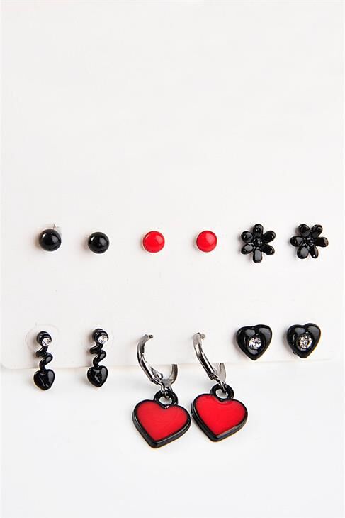 Siyah Kalp Ve Çiçek Tasarımlı Halka Ve Top Küpeli Küpe 12li Set