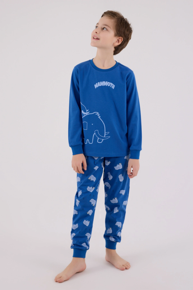 RolyPoly 3666-2 Erkek Çocuk Uzun Kol Pijama Takım