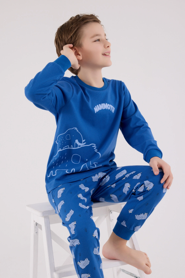 RolyPoly 3666-2 Erkek Çocuk Uzun Kol Pijama Takım