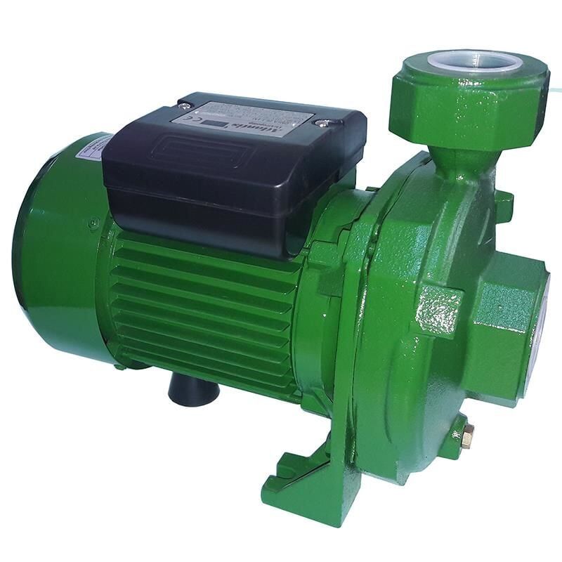 Atlantis Blu Dmla 301.5M 2 Hp Tek Kademeli Basınçlı Santrifuj Bahçe Pompası 220V